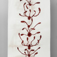 1 Fireflower. Balga resin on rag paper, plant ink. H 205 cm x w 114 cm.